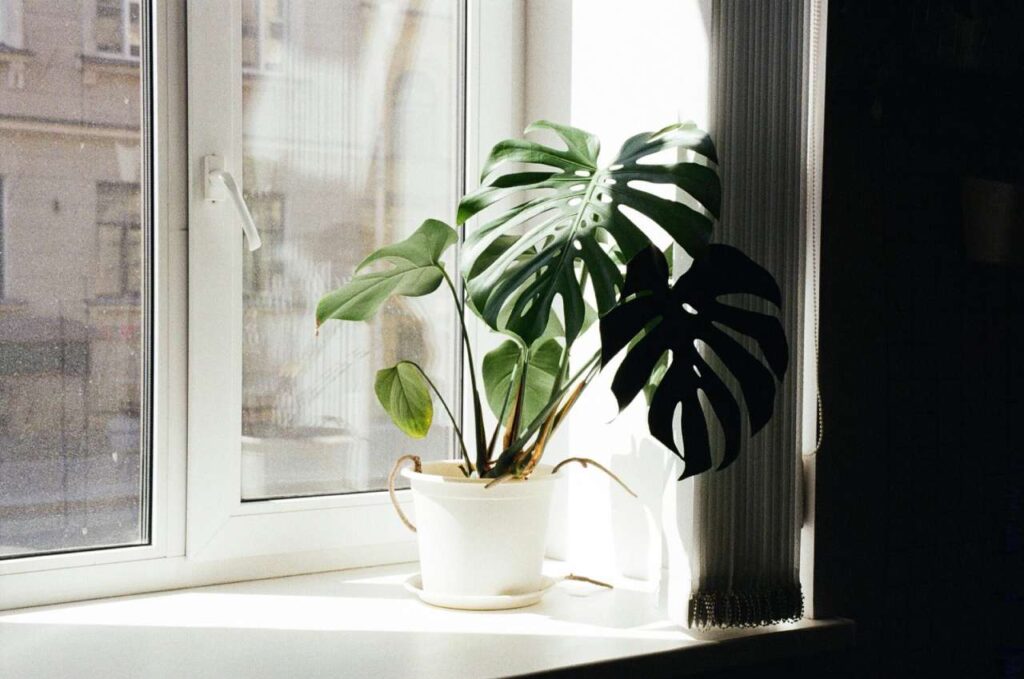 indoor air quality