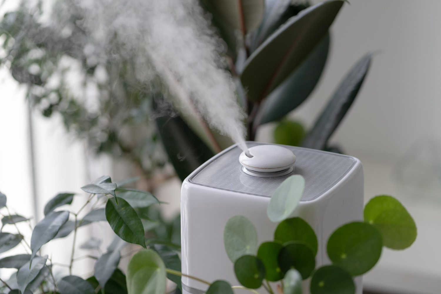 home humidifier